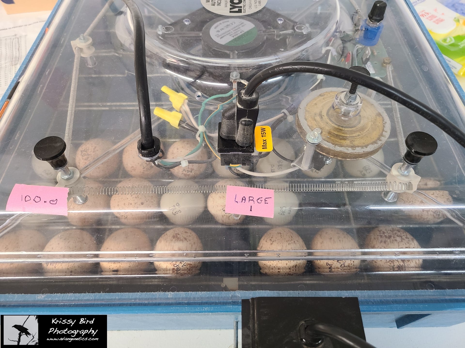 Pheasant Ridge Incubators