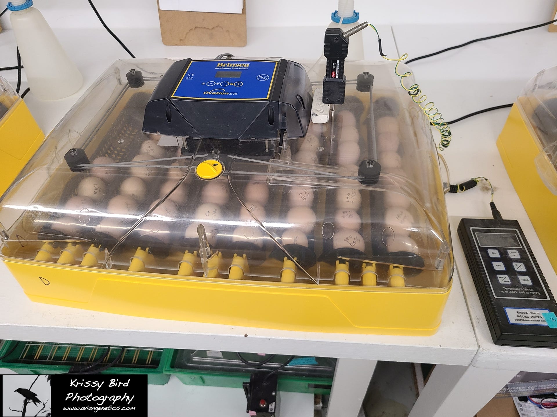 Pheasant Ridge Incubators
